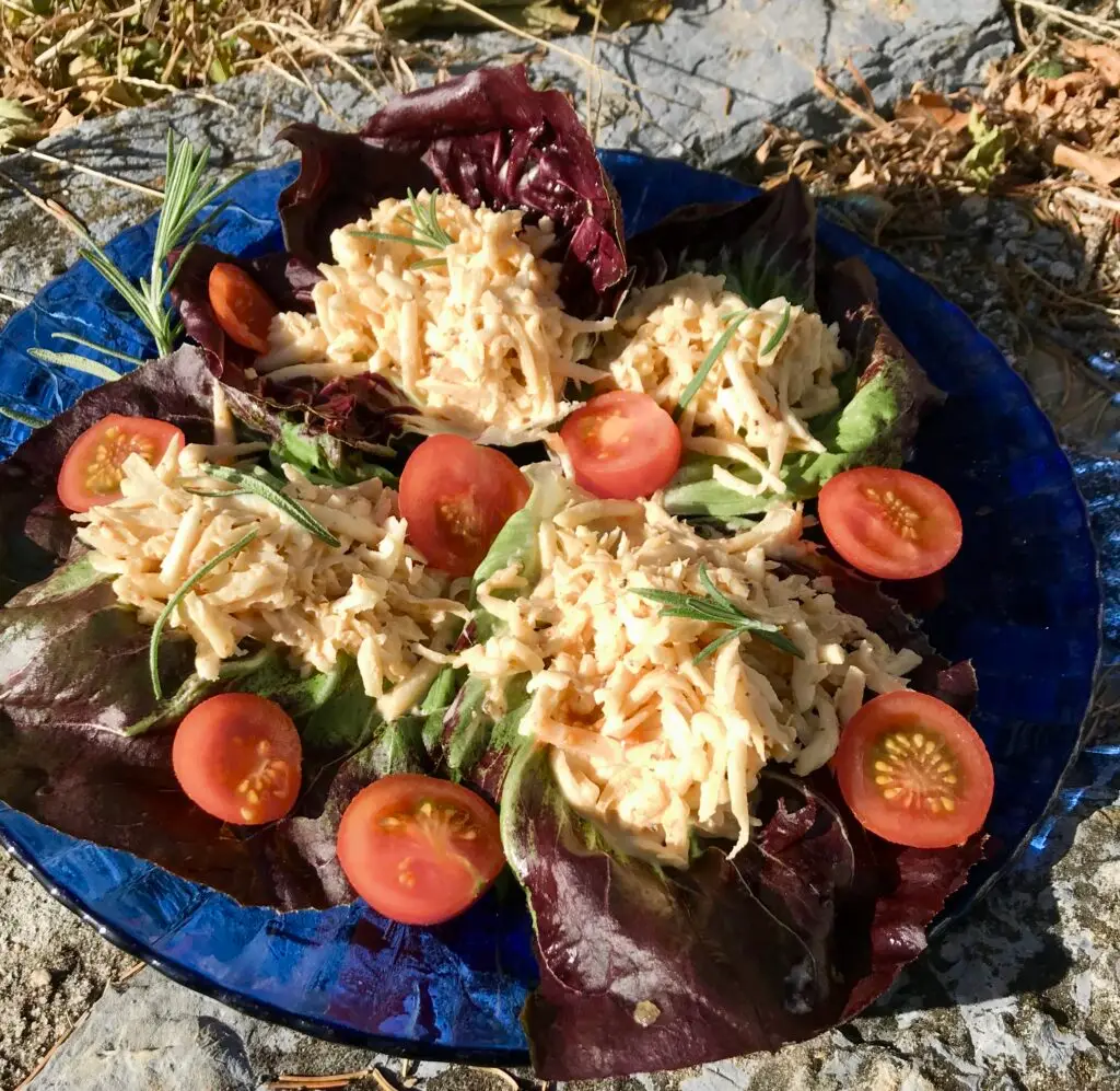 shredded celeriac w. tomatoes on a bed of radicchio and rosemary. 

